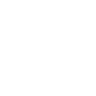 Brain